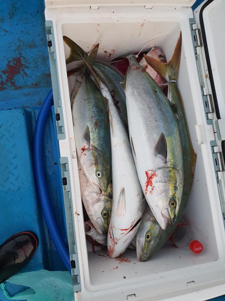 낚시뚜,,서망항,뻥쟁이호,낚시뚜0