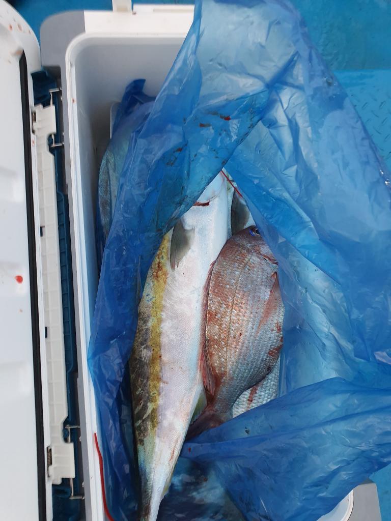 낚시뚜,,서망항,뻥쟁이호,낚시뚜1