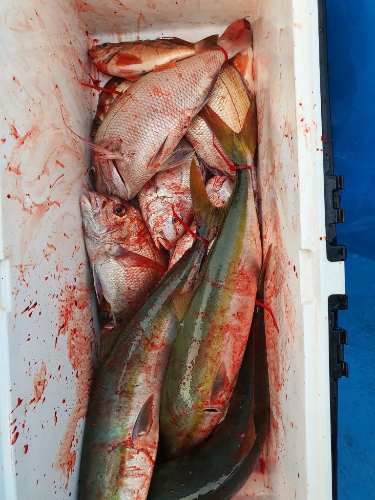 낚시뚜,,서망항,뻥쟁이호,낚시뚜2