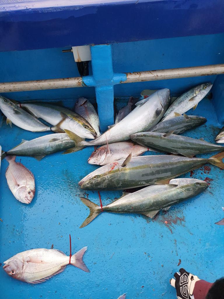 낚시뚜,,서망항,뻥쟁이호,낚시뚜3