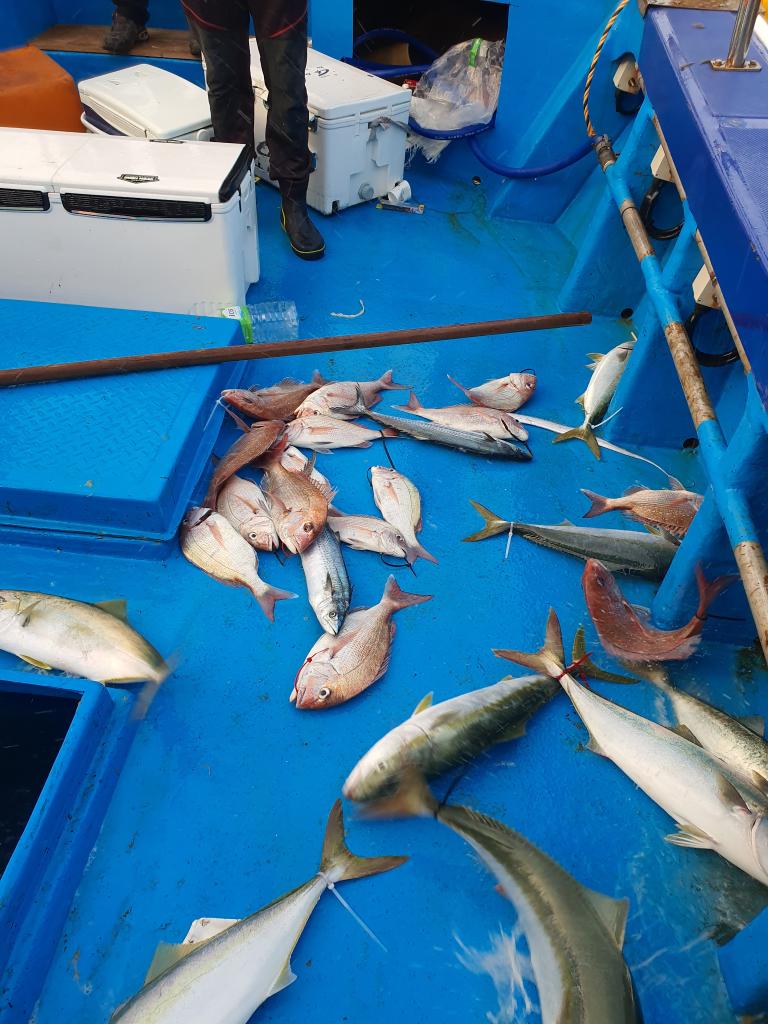 낚시뚜,,서망항,뻥쟁이호,낚시뚜4