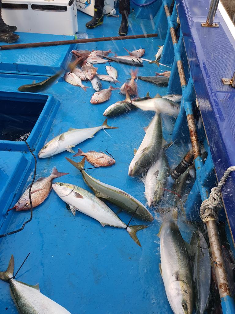 낚시뚜,,서망항,뻥쟁이호,낚시뚜5