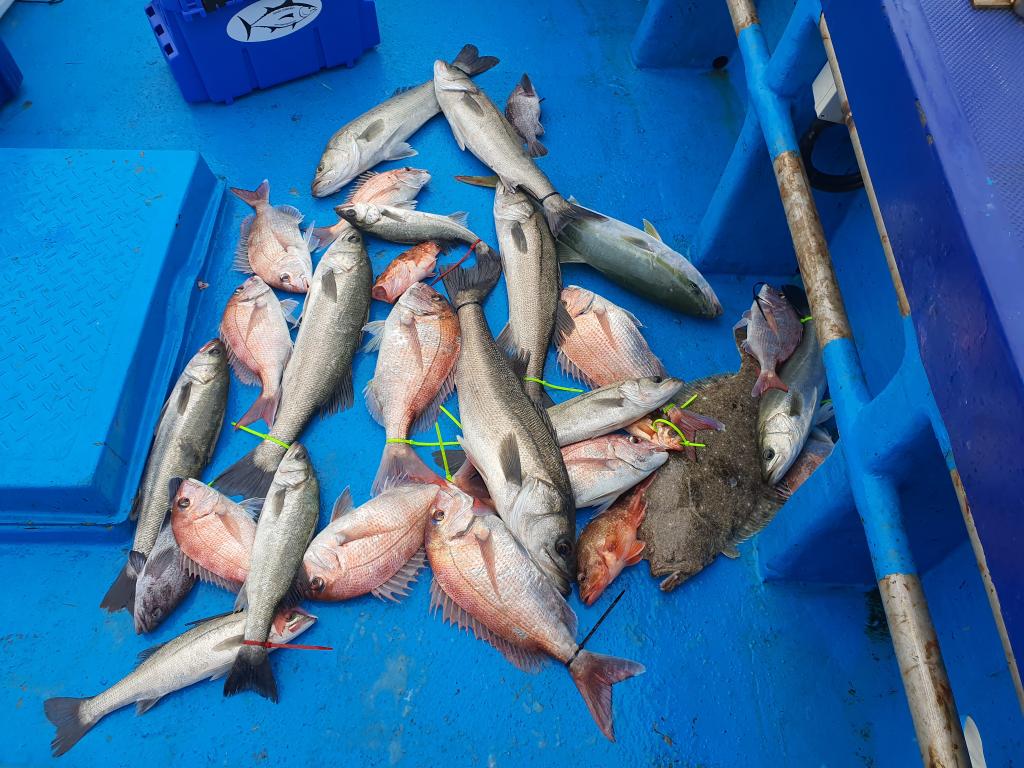 낚시뚜,,서망항,뻥쟁이호,낚시뚜2