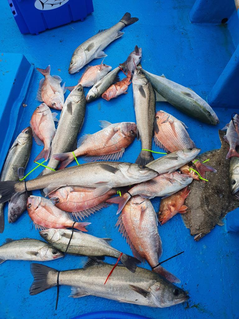 낚시뚜,,서망항,뻥쟁이호,낚시뚜4