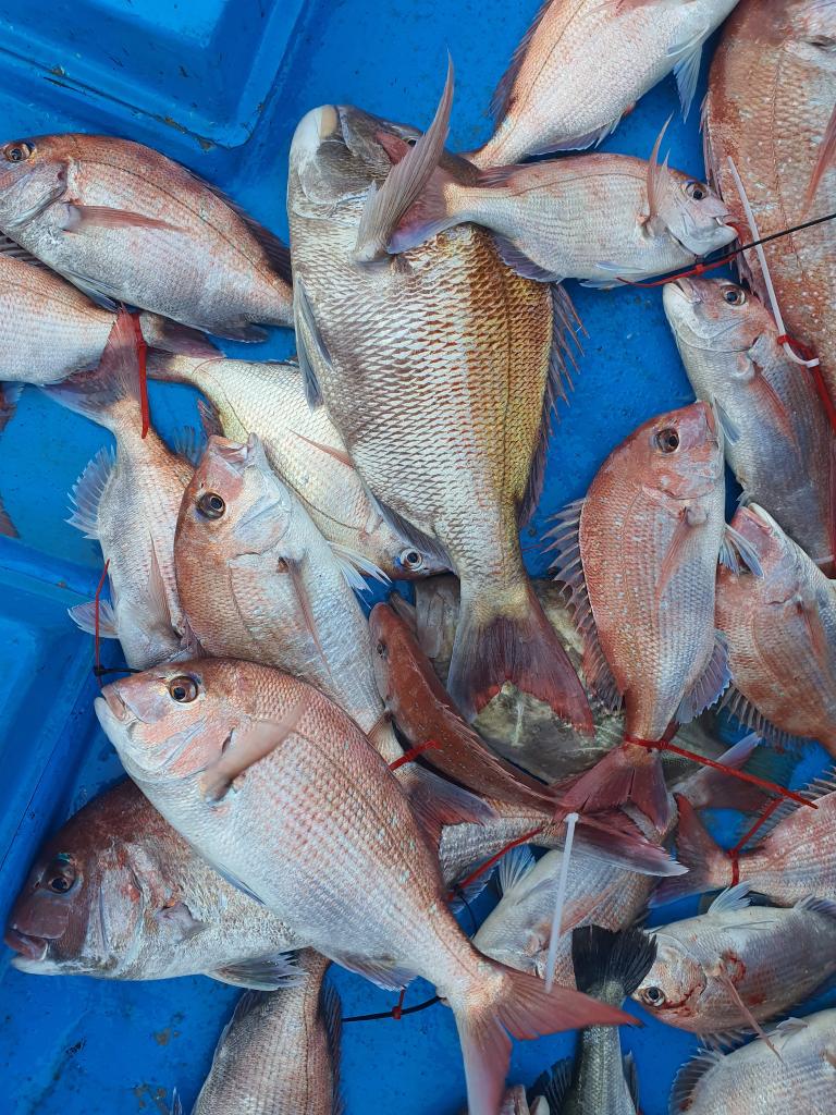 낚시뚜,,서망항,뻥쟁이호,낚시뚜0