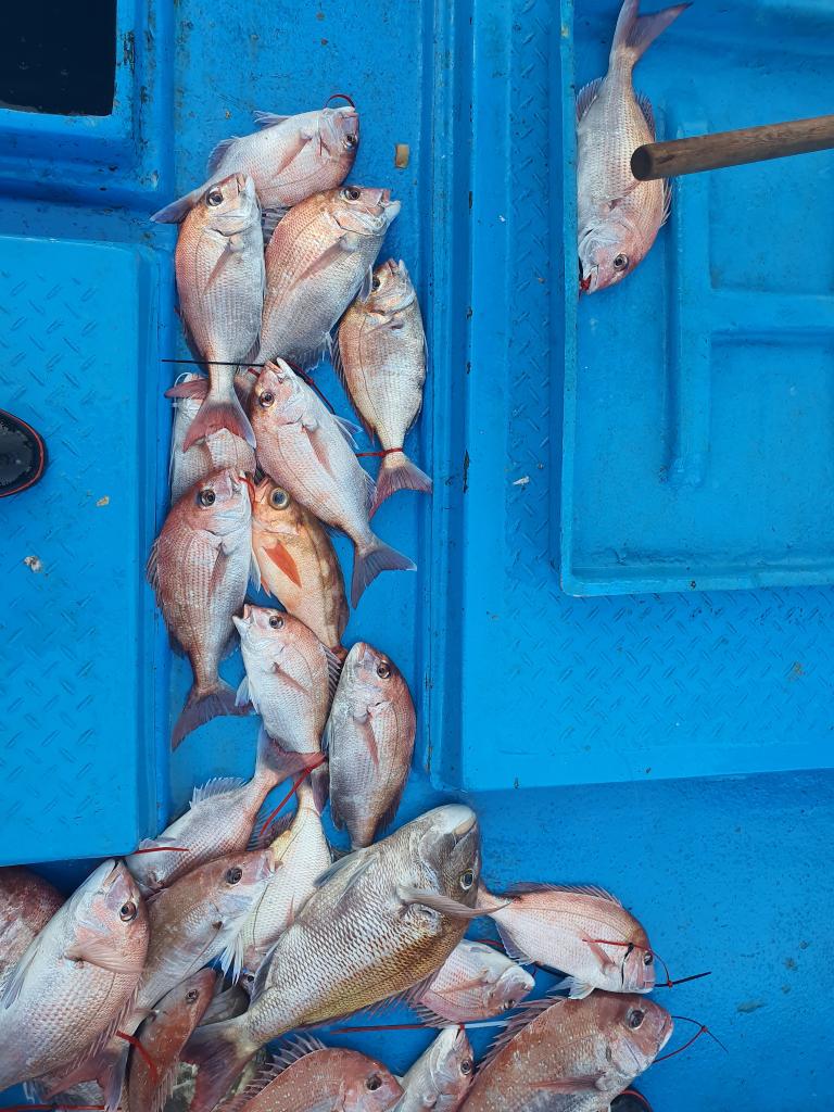 낚시뚜,,서망항,뻥쟁이호,낚시뚜1