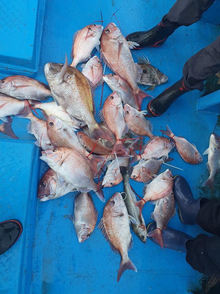 낚시뚜,,서망항,뻥쟁이호,낚시뚜2