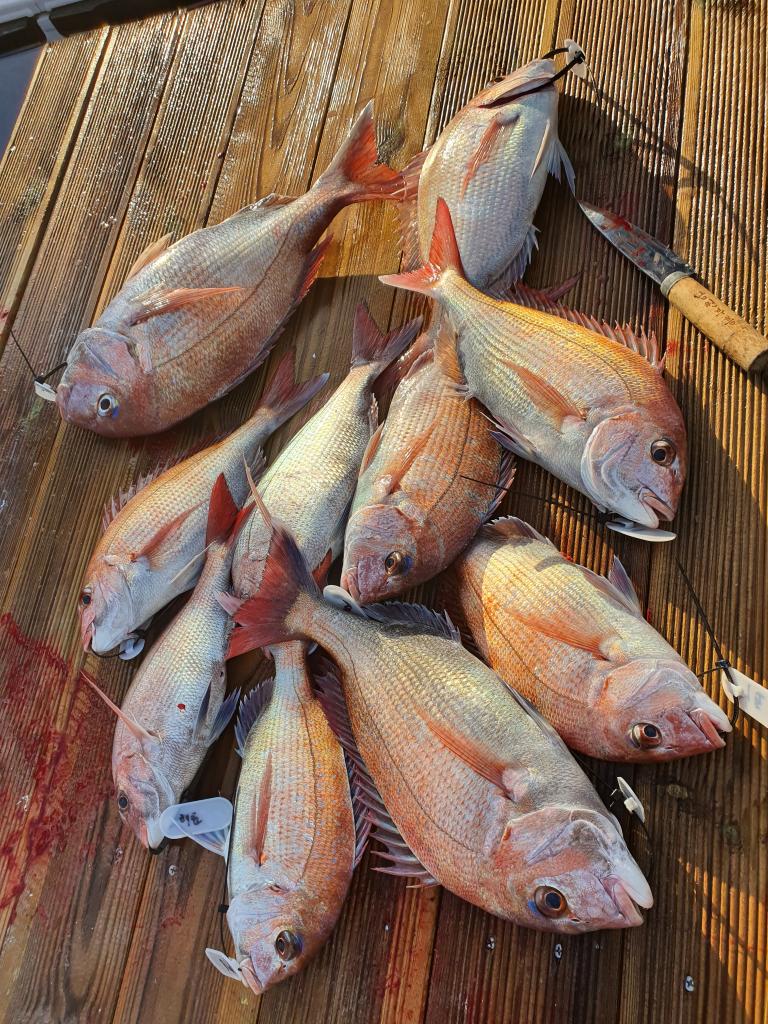 낚시뚜,,서망항,뻥쟁이호,낚시뚜0