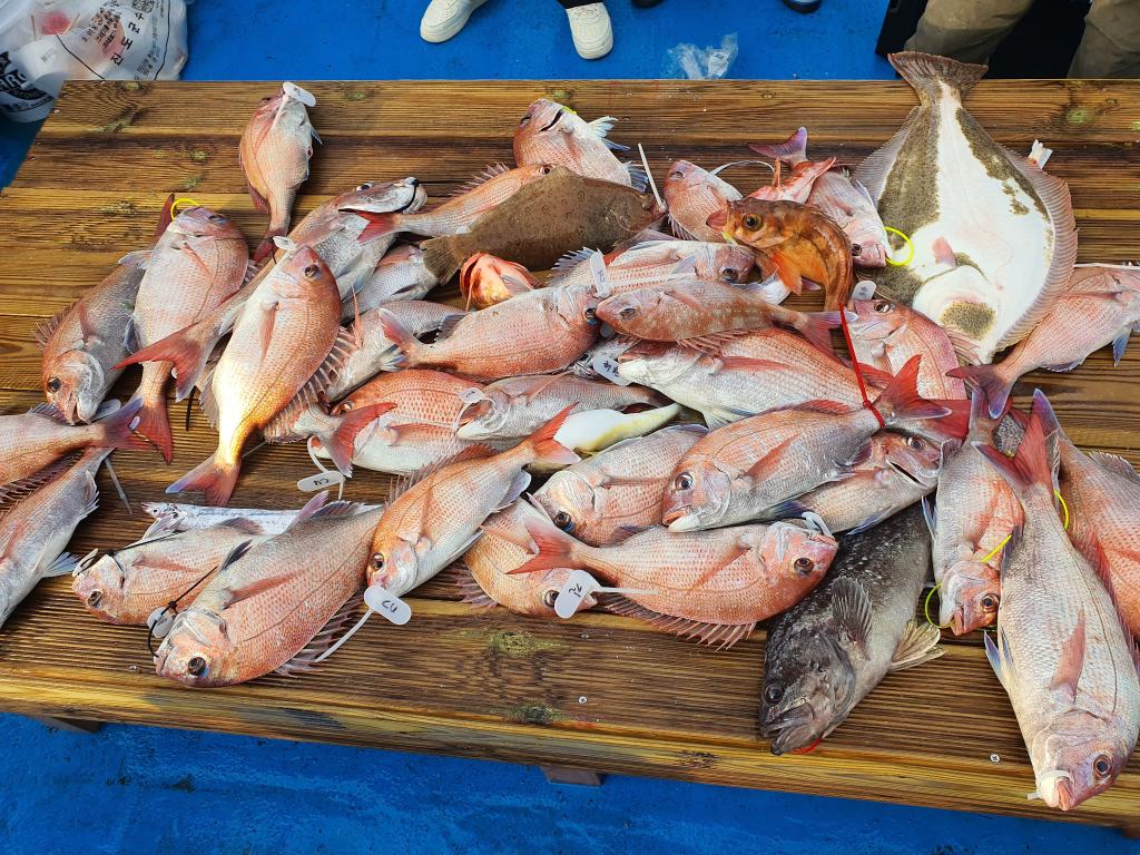 낚시뚜,,서망항,뻥쟁이호,낚시뚜1