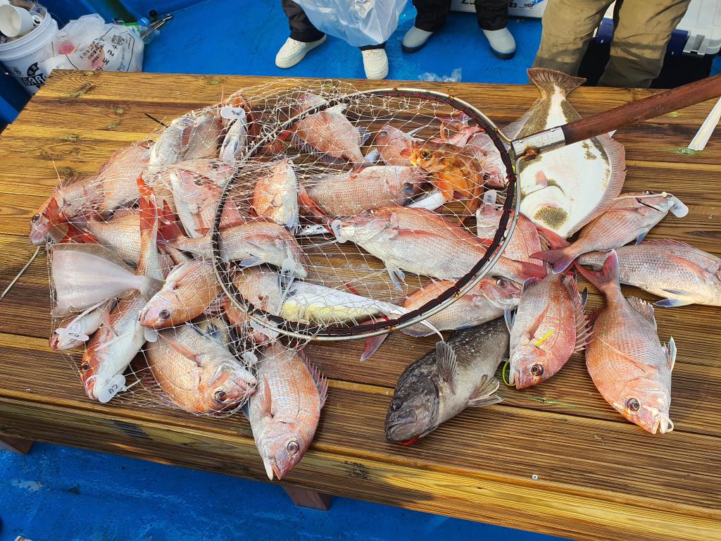 낚시뚜,,서망항,뻥쟁이호,낚시뚜2