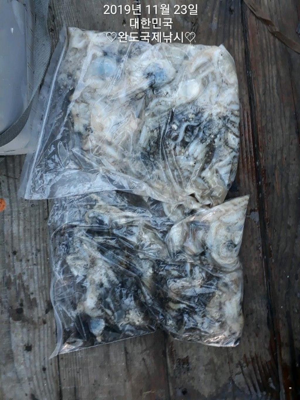 낚시뚜,다금바리,쭈꾸미,갑오징어,완도항,완도국제낚시,낚시뚜9