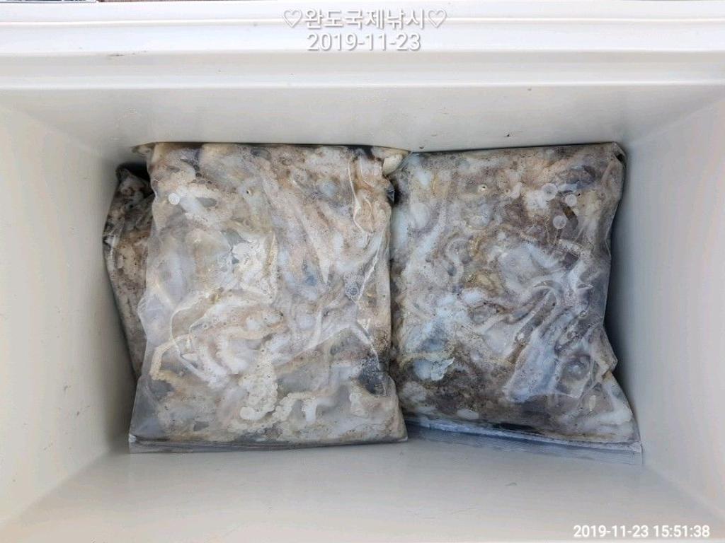 낚시뚜,다금바리,쭈꾸미,갑오징어,완도항,완도국제낚시,낚시뚜4