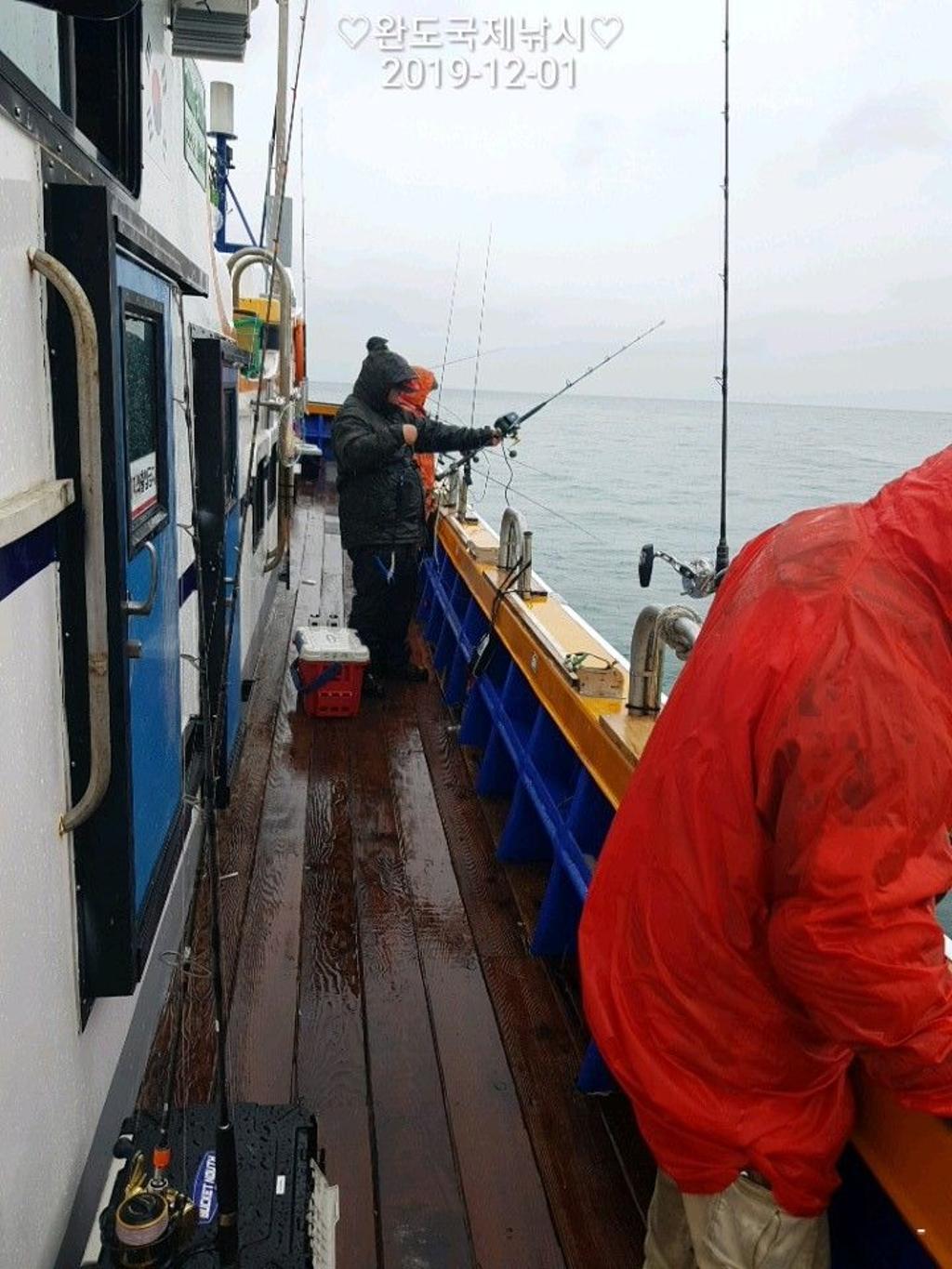 낚시뚜,부시리,방어,완도항,완도국제낚시,낚시뚜6