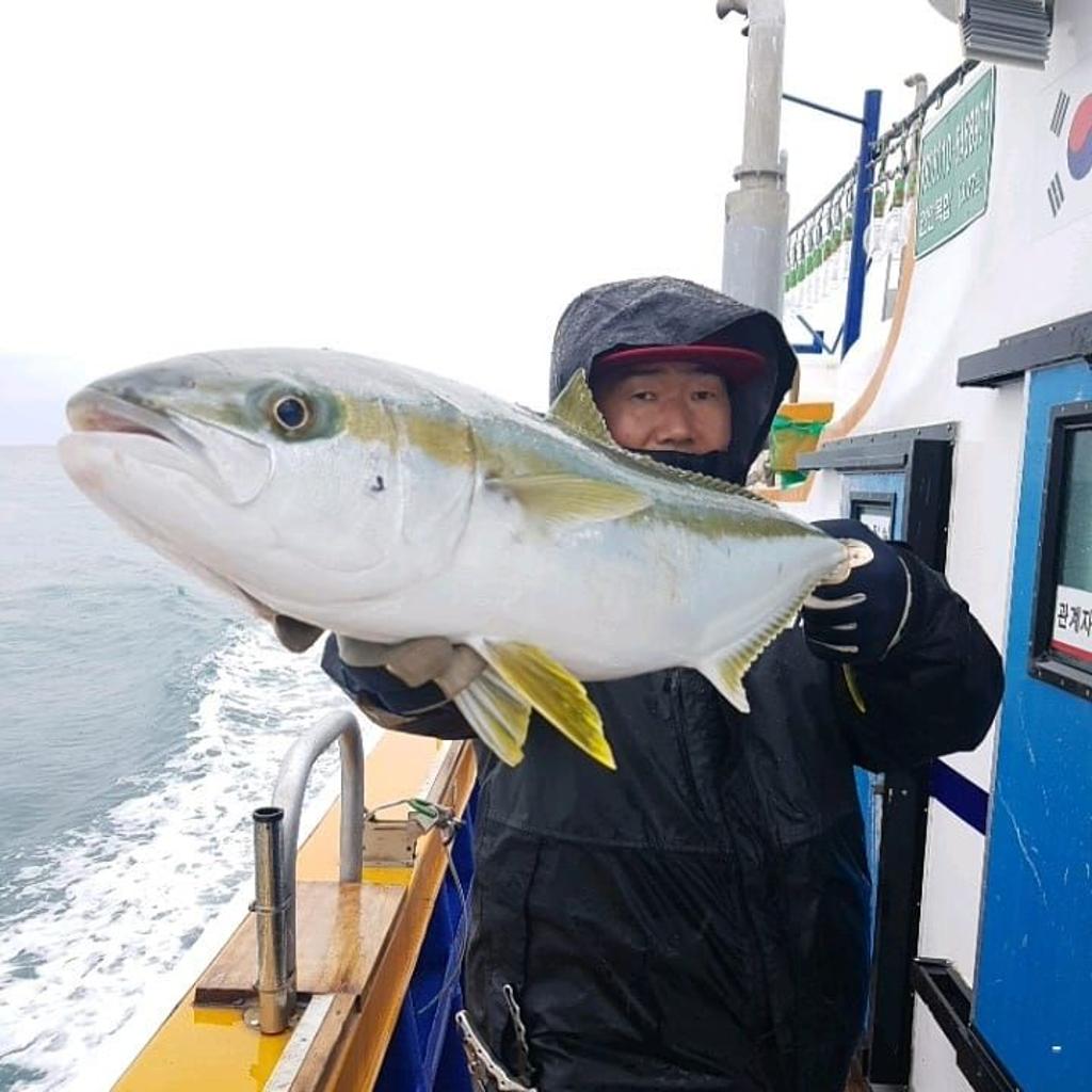 낚시뚜,부시리,방어,완도항,완도국제낚시,낚시뚜3
