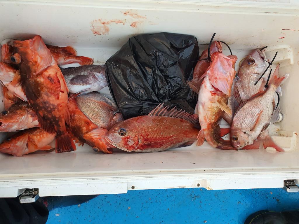 낚시뚜,,서망항,뻥쟁이호,낚시뚜0