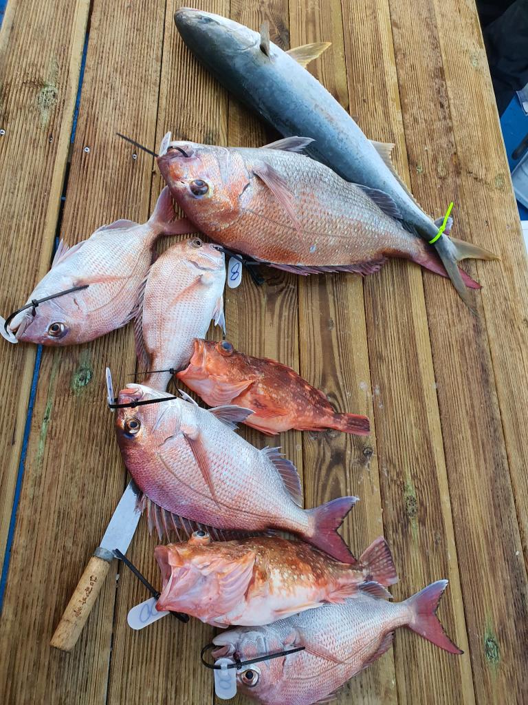 낚시뚜,,서망항,뻥쟁이호,낚시뚜1