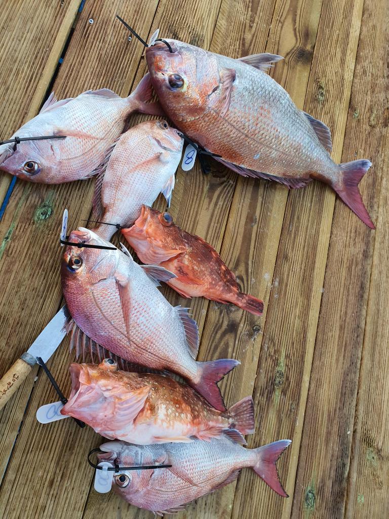 낚시뚜,,서망항,뻥쟁이호,낚시뚜2