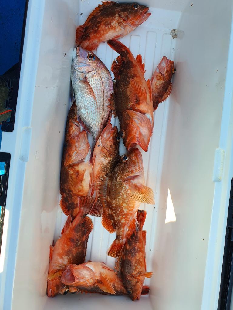 낚시뚜,,서망항,뻥쟁이호,낚시뚜3