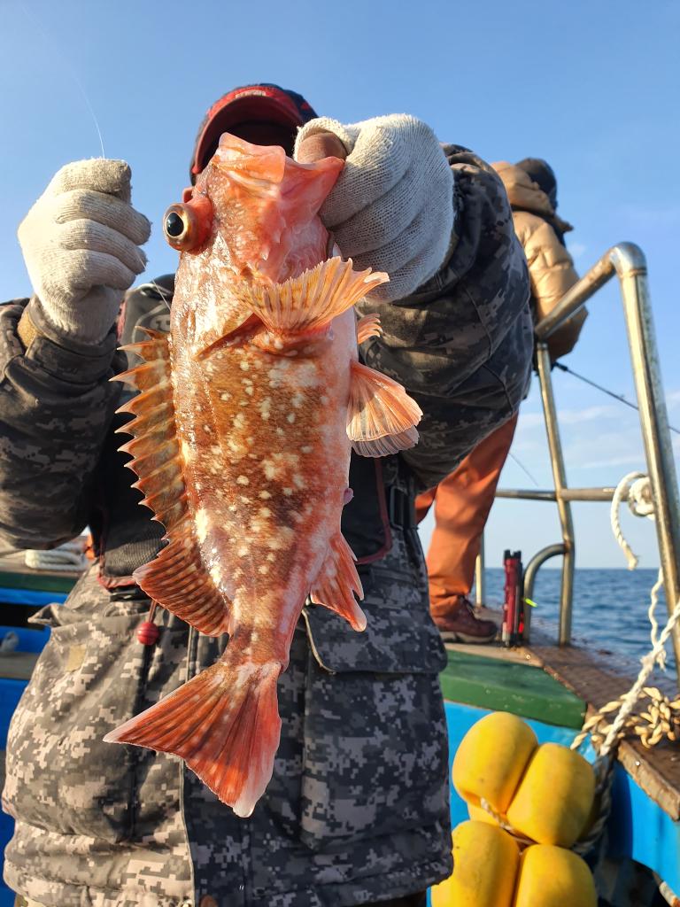 낚시뚜,,서망항,뻥쟁이호,낚시뚜9