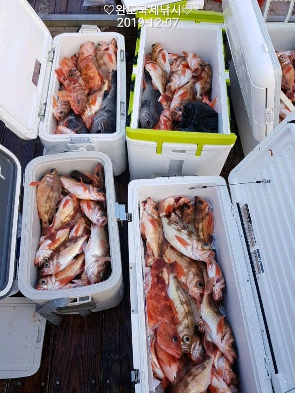 낚시뚜,열기,완도항,완도국제낚시,낚시뚜6