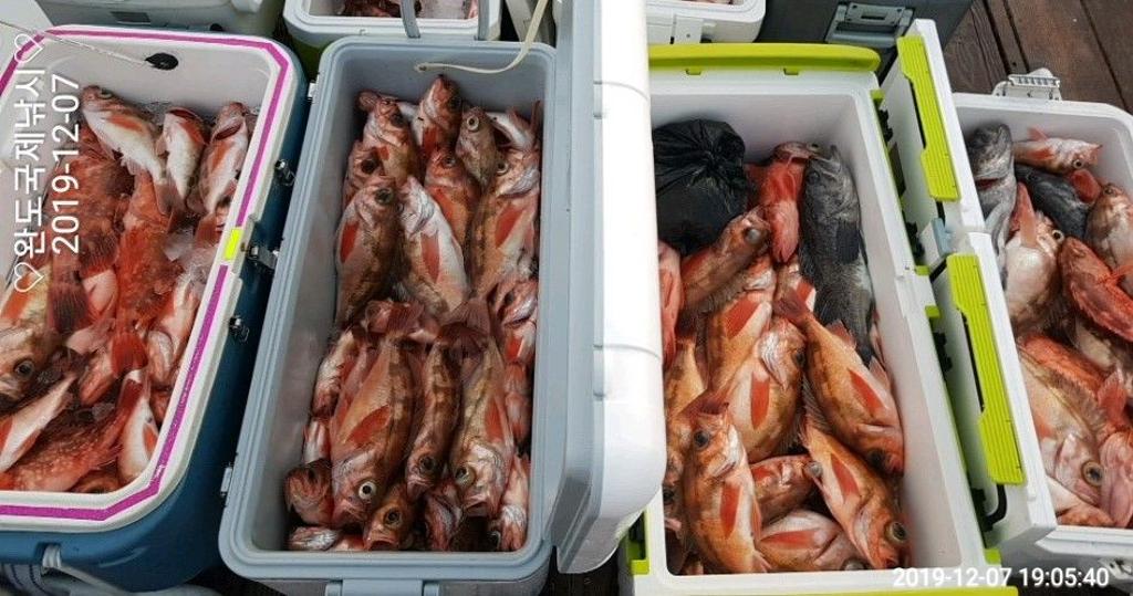 낚시뚜,열기,완도항,완도국제낚시,낚시뚜7