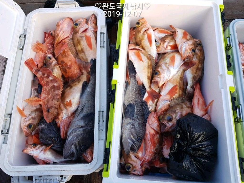 낚시뚜,열기,완도항,완도국제낚시,낚시뚜5