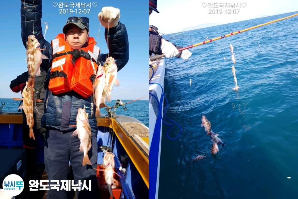 낚시뚜,열기,완도항,완도국제낚시,낚시뚜2