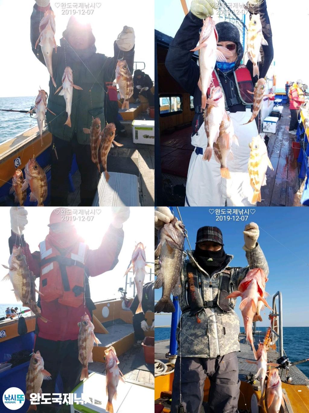 낚시뚜,열기,완도항,완도국제낚시,낚시뚜1