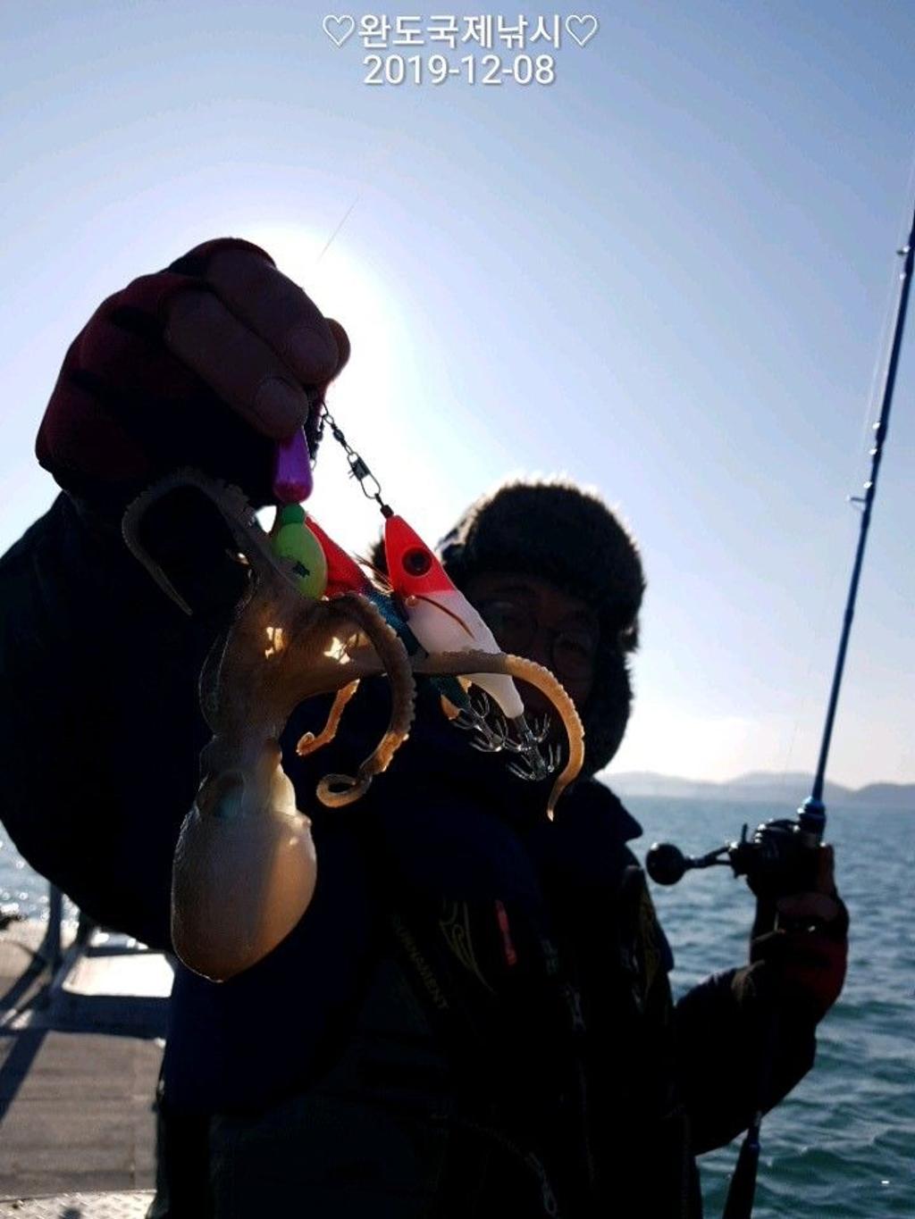 낚시뚜,쭈꾸미,완도항,완도국제낚시,낚시뚜9