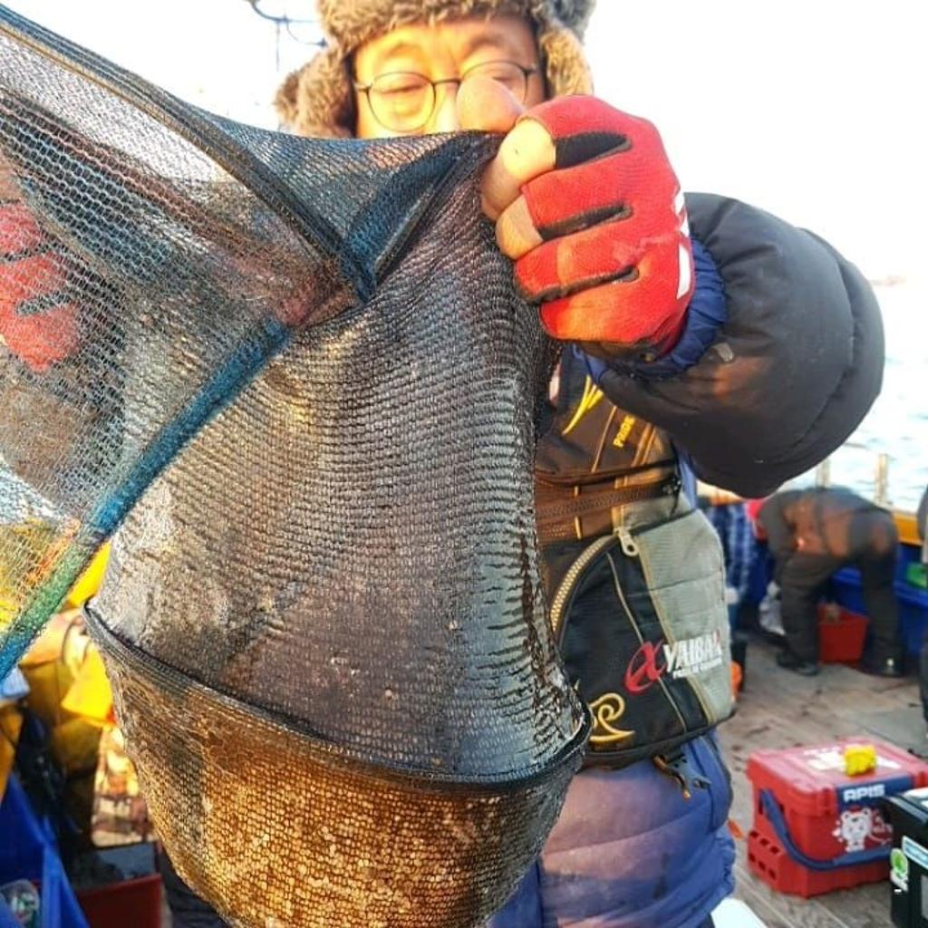 낚시뚜,쭈꾸미,완도항,완도국제낚시,낚시뚜5