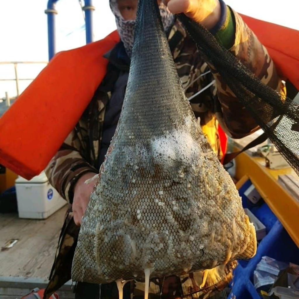 낚시뚜,쭈꾸미,완도항,완도국제낚시,낚시뚜4