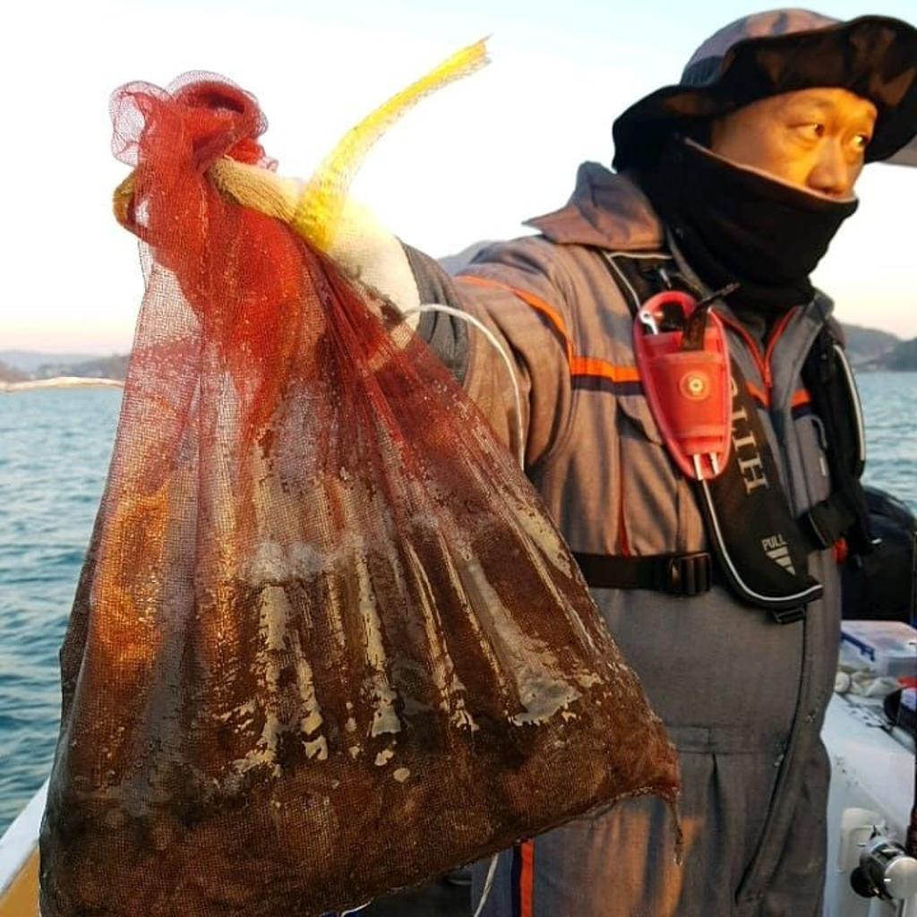 낚시뚜,쭈꾸미,완도항,완도국제낚시,낚시뚜3