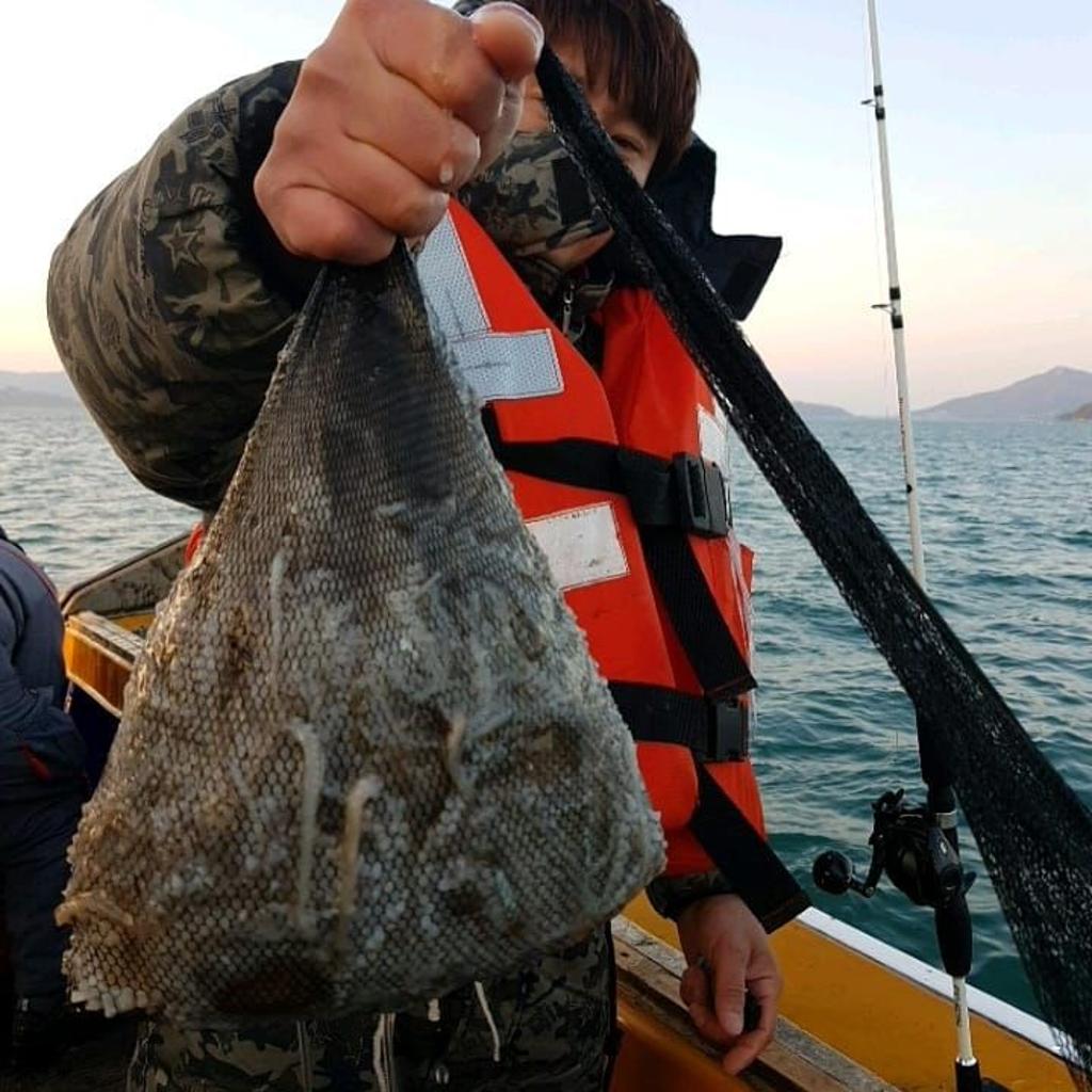 낚시뚜,쭈꾸미,완도항,완도국제낚시,낚시뚜2