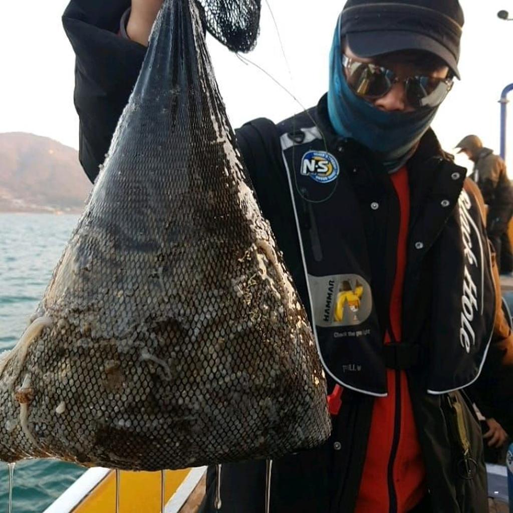 낚시뚜,쭈꾸미,완도항,완도국제낚시,낚시뚜1