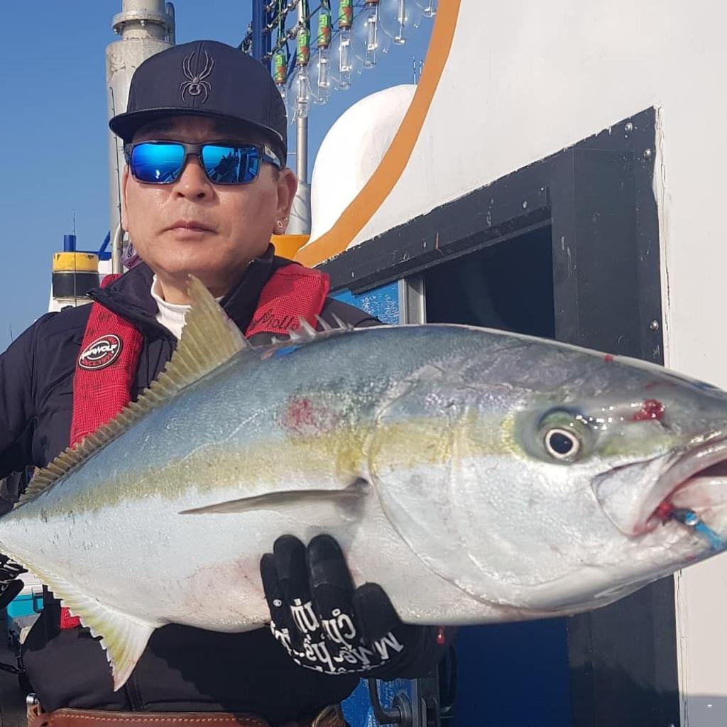 낚시뚜,방어,부시리,완도항,완도국제낚시,낚시뚜5