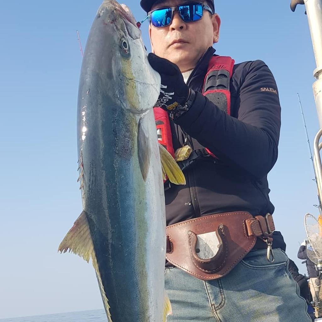 낚시뚜,방어,부시리,완도항,완도국제낚시,낚시뚜4