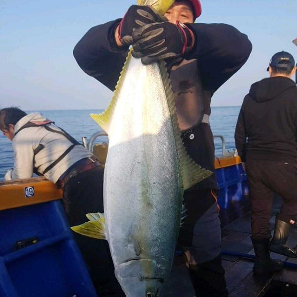 낚시뚜,방어,부시리,완도항,완도국제낚시,낚시뚜3