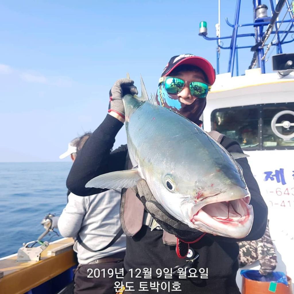 낚시뚜,방어,부시리,완도항,완도국제낚시,낚시뚜2