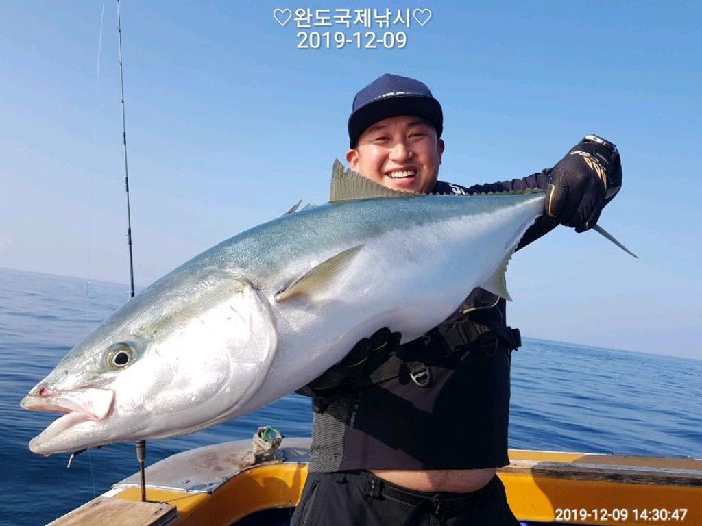 낚시뚜,방어,부시리,완도항,완도국제낚시,낚시뚜0