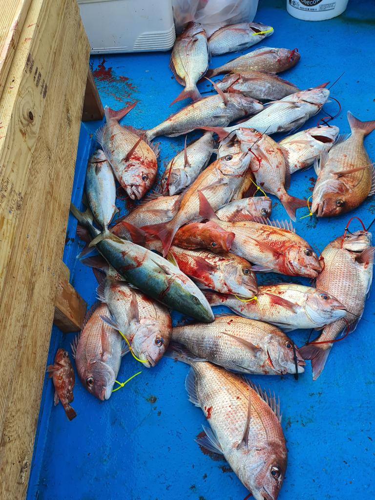 낚시뚜,,서망항,뻥쟁이호,낚시뚜0