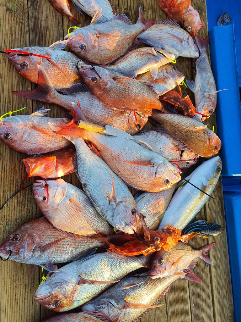 낚시뚜,,서망항,뻥쟁이호,낚시뚜1