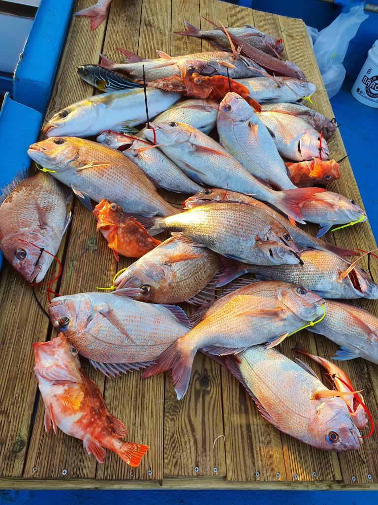 낚시뚜,,서망항,뻥쟁이호,낚시뚜2