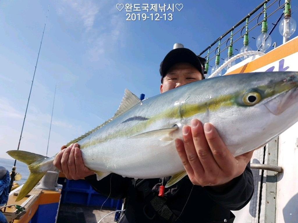 낚시뚜,방어,부시리,완도항,완도국제낚시,낚시뚜0