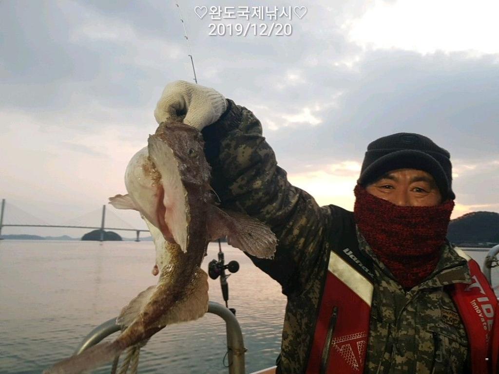 낚시뚜,쭈꾸미,완도항,완도국제낚시,낚시뚜12