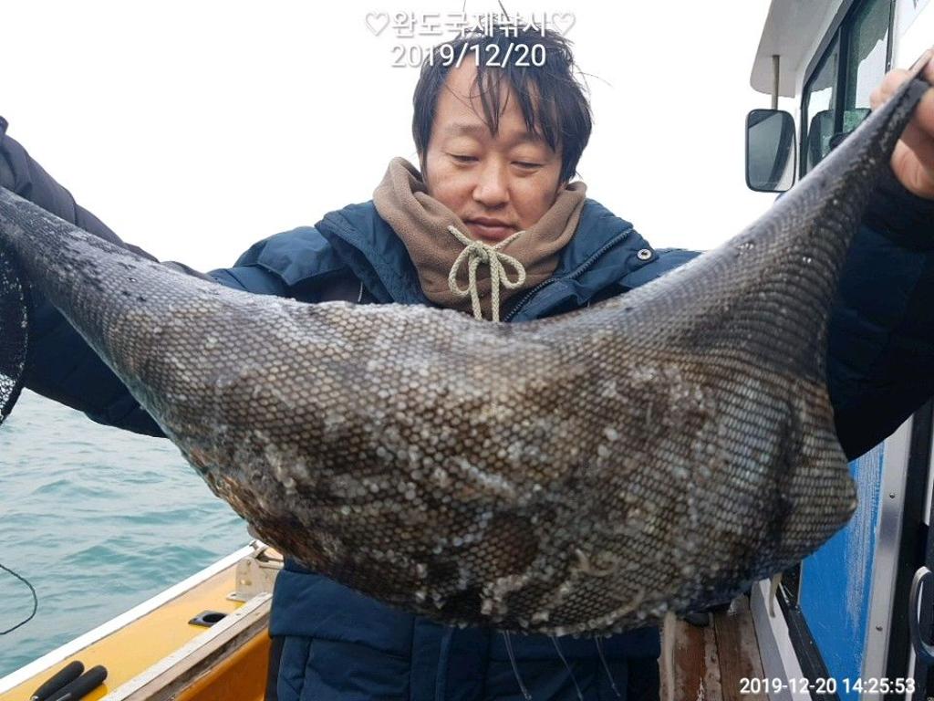 낚시뚜,쭈꾸미,완도항,완도국제낚시,낚시뚜5