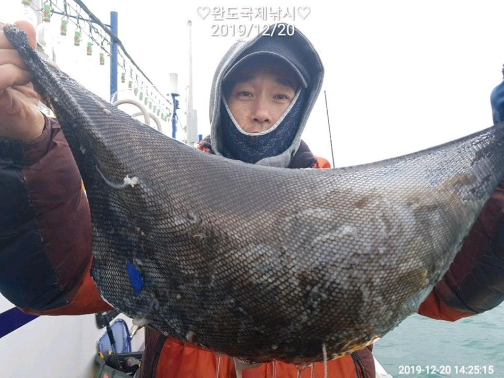 낚시뚜,쭈꾸미,완도항,완도국제낚시,낚시뚜4