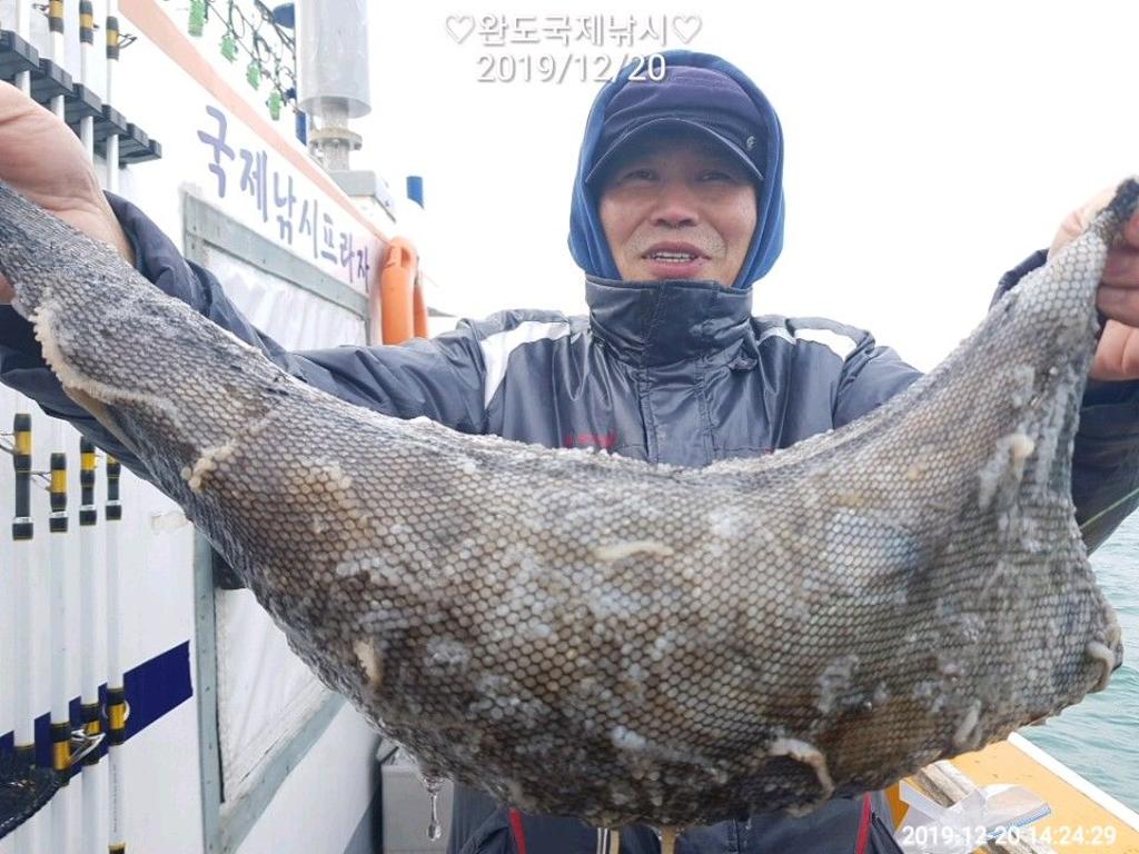 낚시뚜,쭈꾸미,완도항,완도국제낚시,낚시뚜3