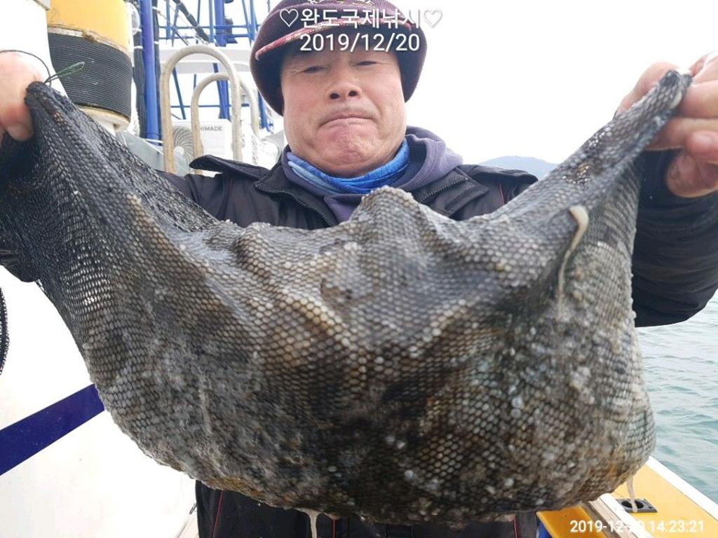 낚시뚜,쭈꾸미,완도항,완도국제낚시,낚시뚜1