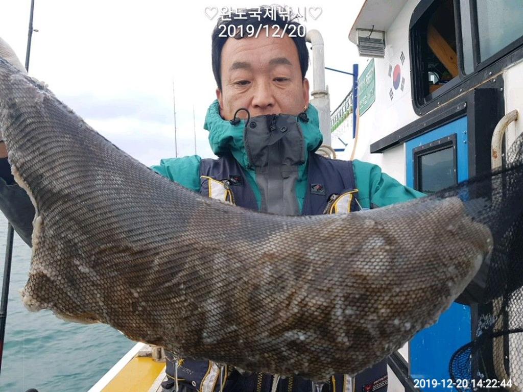 낚시뚜,쭈꾸미,완도항,완도국제낚시,낚시뚜0