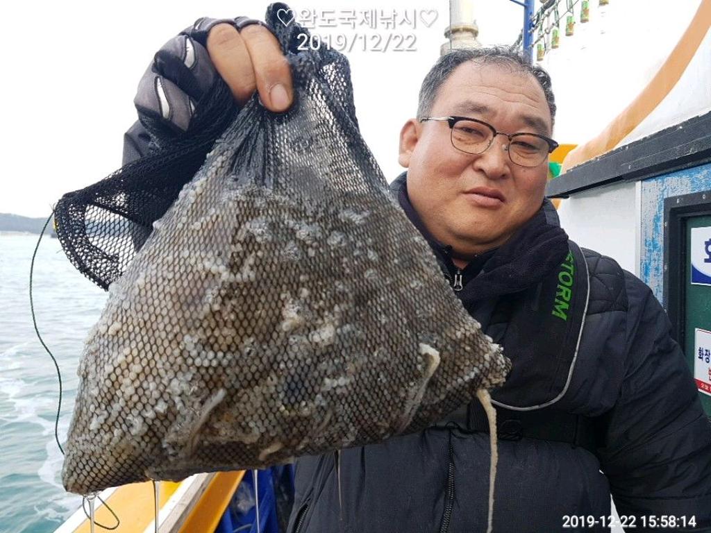 낚시뚜,쭈꾸미,완도항,완도국제낚시,낚시뚜8